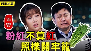 或韭菜，或草民，或小粉紅，或寫主旋律的大咖編劇，在黨國治下，都得餓肚子！【时事小品｜粉紅不算紅，照樣關牢籠】｜大陸新聞解毒