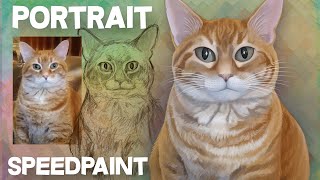 Tabby Cat Digital Pet Portrait - Speedpaint On Adobe Fresco