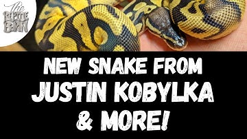 Unboxing A New Ball Python From Justin Kobylka & More!