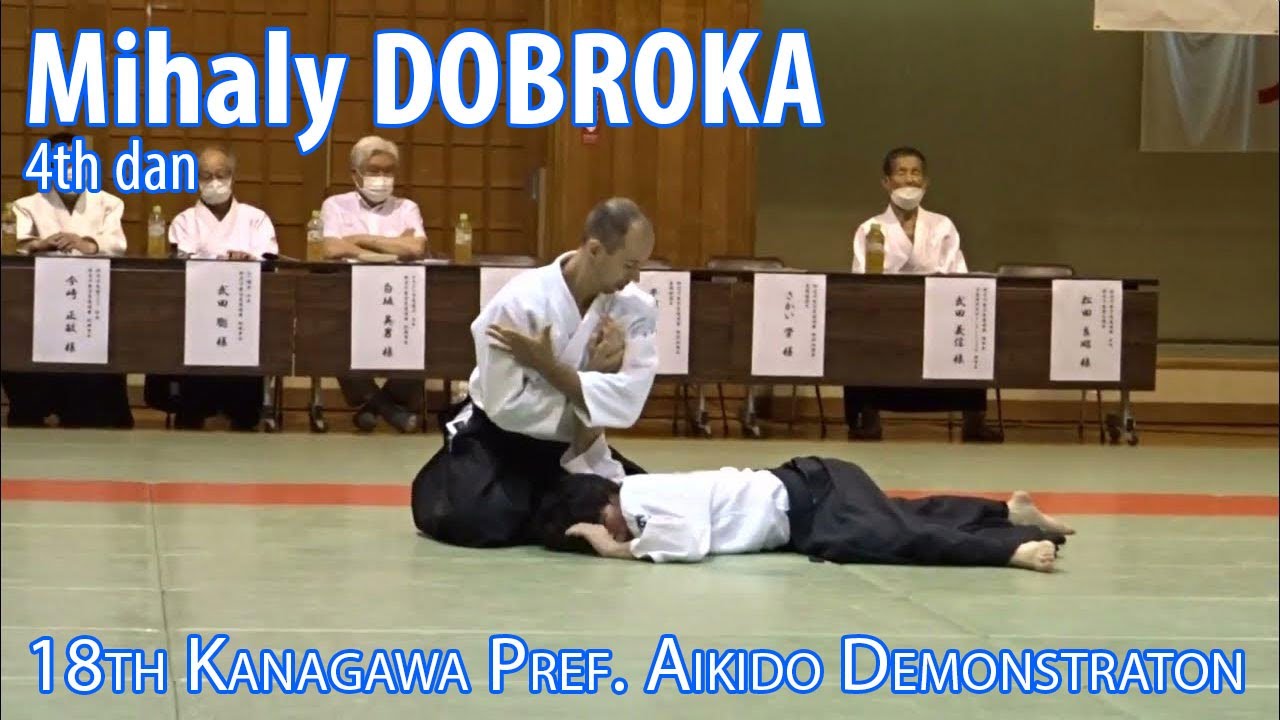 ミハイ・ドブロカ４段 - 第１８回神奈川県合気道演武会