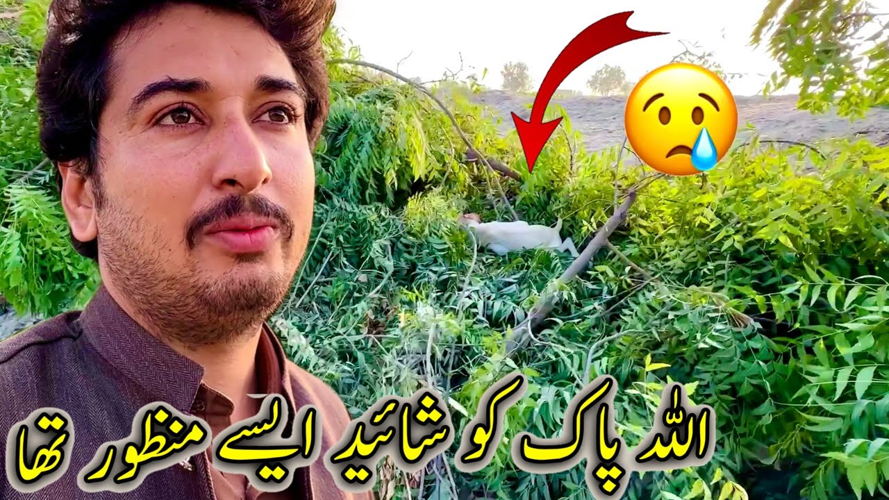 Shaid Allah Pak Ko Aysy Manzor Tha😪😰🙏
