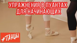 Упражнения в ПУАНТАХ для начинающих