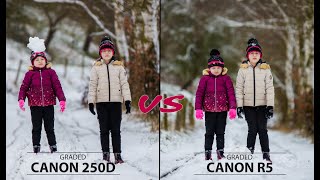 Canon Eos 250D // rebel Sl3 VS Canon Eos R5 for Photography ? High end Camera vs Entry level Camera