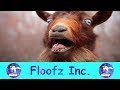 The most hysterical screaming and fainting goats