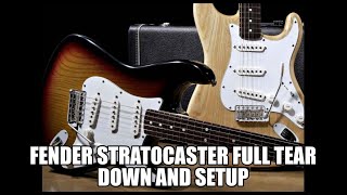 Fender Stratocaster full setup