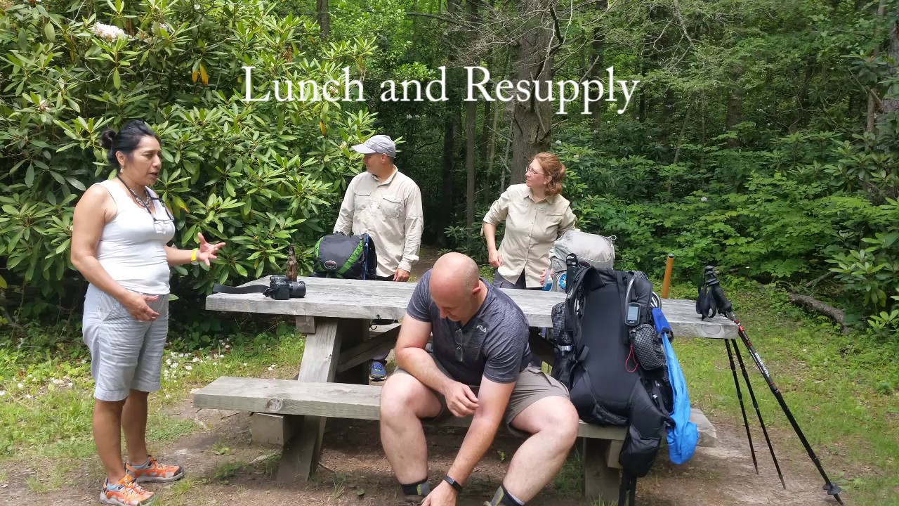 2017 Appalachian Trail 7 day Section Hike Pearisburg to Daleville YouTube