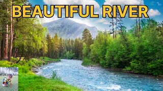 Beautiful River Pictures