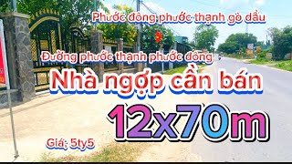 Nhà Phước đông  gò dầu Tây Ninh 12 x 70