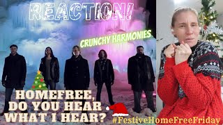 FESTIVE REACTION! HomeFree, Do You Hear What I Hear? 🎄🎅🏻 #HomeFreeFriday #FestiveHomeFree #Christmas