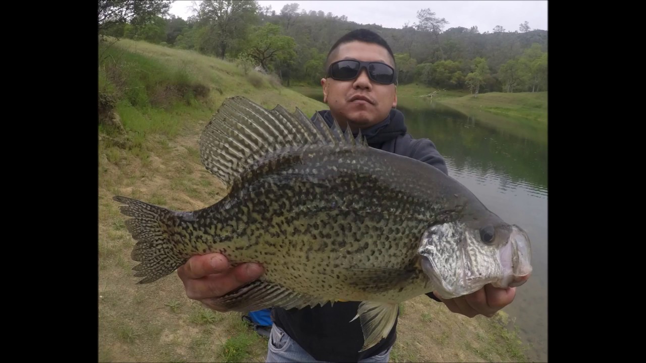 Lake Berryessa Crappie Fishing 4 5 2018 Youtube