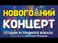 Новогодний концерт Василиса Чиркова - look we found(cover)