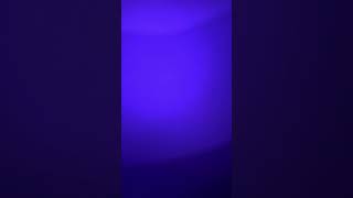 Famous 2788. Split Strings by Separator Net Worth