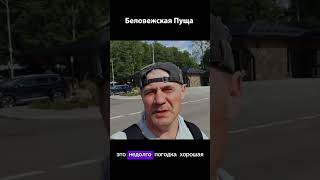 Беловежская Пуща #travel #беларусь  #путешествие #брест