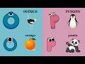 Learning A to Z: Letters Oo and Pp | Alphabet Objects &amp; Sounds