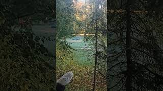 Mrozy nad ranem