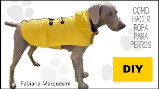 Contaminar Capilares Fuera de plazo MOLDE-ABRIGO PARA PERRO- MASCOTA Fabiana Marquesini - 276 - YouTube