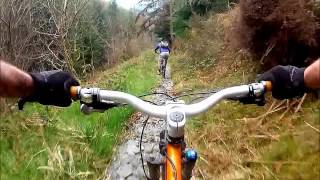 Dyfi forest mtb trails, Original Rocky-horror