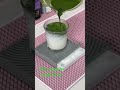 Dirty Matcha /เดอตี้ มัทฉะ