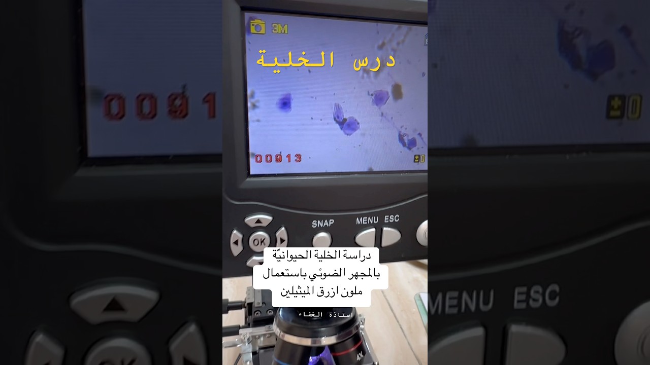 دراسة الخلية بالمجهر الضوئي | باستعمال بطانة الفم | ثانية ثانوي