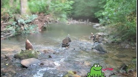 Scratch 2.0 Tutorial to make a Frog Jump