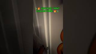 🐢 VINTAGE TMNT SIGNED COLLECTION! 🔥 | Teenage Mutant Ninja Turtles 🐢 VINTAGE TMNT SIGNED COLLECTION! 🔥 | Teenage Mutant Ninja Turtles