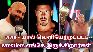WWE - யால் 2020 - ல் வெளியேற்றப்பட்ட மல்யுத்த வீரர்கள் || wrestling tamil entertainment