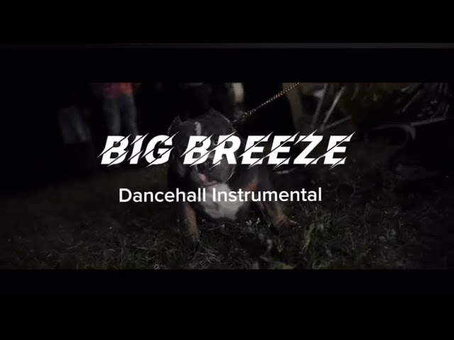 [FREE] Dancehall Riddim Instrumental 2024 (BIG BREEZE)