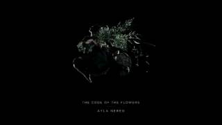 Ayla Nereo - The Code of the Flowers - (Full Album 2016)