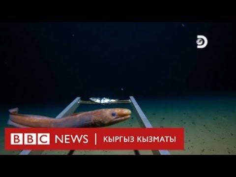 Video: Эң тунук океан кайсы?