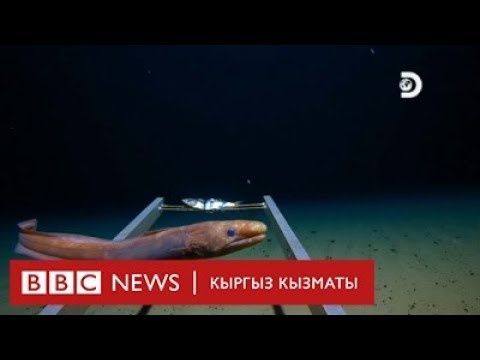 Video: Океандын суусу кандайча агызылган?