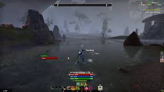 Elder Scrolls  Online - Animation bug swap
