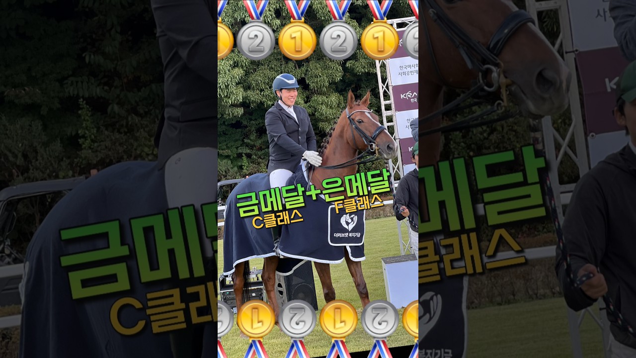 델피니 대회 첫날 입상 축하🥳🎉🥇🥈 #은퇴경주마승마대회 #마장마술 #정주영선수