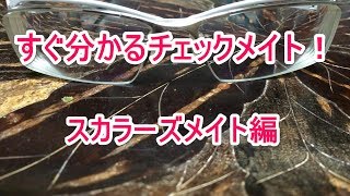 すぐ分かるチェックメイト！スカラーズメイト編 [チェス] screenshot 3