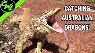 CATCHING GIANT AUSTRALIAN DRAGON!!!