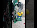 Зайчик Зайчик