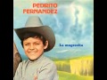 Pedrito Fernández - LA MALETITA [La Mugrosita, 1980]