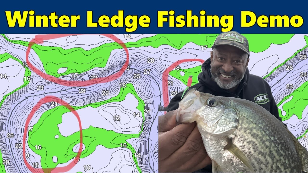 Демонстрация зимней ловли окуня с откоса #acccrappiestix #crappiefishing #livescope