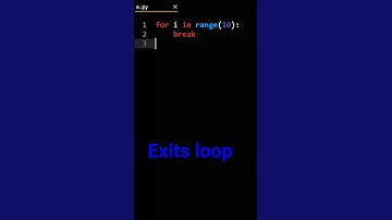 Python break vs return