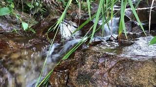 Sounds For Study Sleep and Relaxation: Stream Flowing Over Stones
