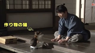 星野源、猫の作り物相手に演技テストする姿がシュールでかわいい／映画『引っ越し大名！』Blu ray:DVD豪華版 特典映像ダイジェスト