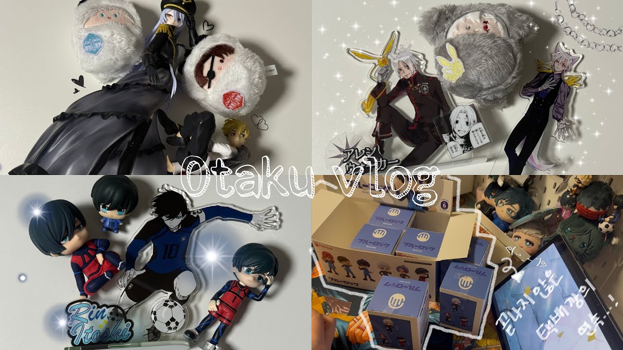 [오타쿠 브이로그]오타쿠의 덕목! 택배까기𐔌՞꜆.  ̫.꜀՞𐦯♡/메루카리부터 공구택배까지 택배로 가득 채운 한달´⚰︎`˵ಣ/블루록,디그레이맨,윈드브레이커,도쿄리벤져스