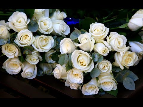 Milen  "От белых роз ..." (2023) ( в память о друге и коллеге - Юрии Шатунове)