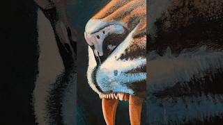 Update On The New Tiger Painting Join The Discord