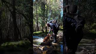 Trilho Moinhos do Ave: Cascata, Moinhos e algumas surpresas #trilhosportugal #vieiradominho #hiking