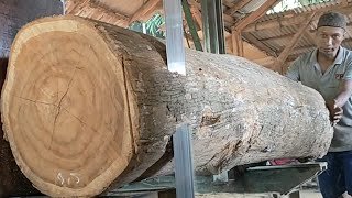 beautiful fiber teak wood sawing process//pladu