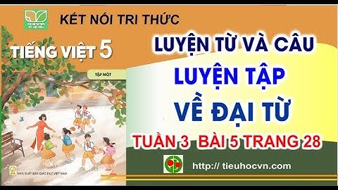 Tiếng Việt 5 Bài 5 Luyện từ và câu: Luyện tập về đại  từ  | Tuần 3 trang 28