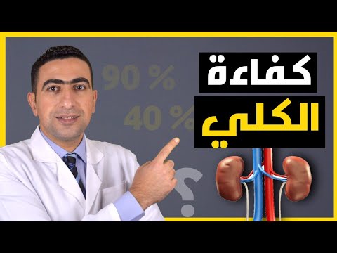 فحص كفاءة الكلى تحاليل وظائف الكلي