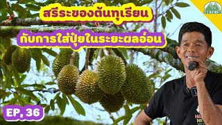 EP.36 สรีระของต้นทุเรียนกับการใส่ปุ๋ยในระยะผลอ่อน โดย อ.สัญชัย (เหียหมา) lปุ๋ยตราเขาแก้ว (Official)