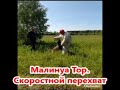 Тор, перехват на высоких скоростях