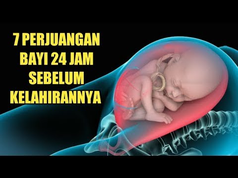 Video: Cara berkelakuan dengan bayi sebelum kelahirannya